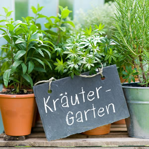 Kräutergarten Kräutergarten