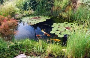 Gartenteich anlegen