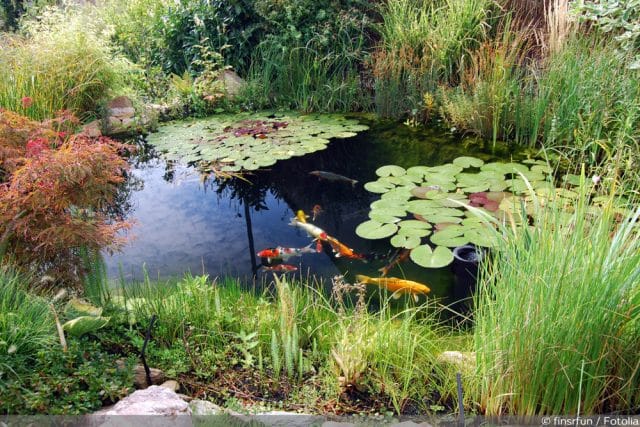 Gartenteich anlegen