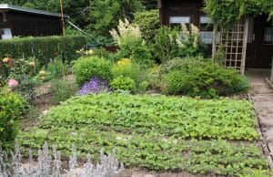 Bauerngarten anlegen