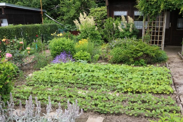 Bauerngarten anlegen