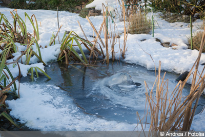 Gartenteich Winter