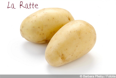 Kartoffel la Ratte 