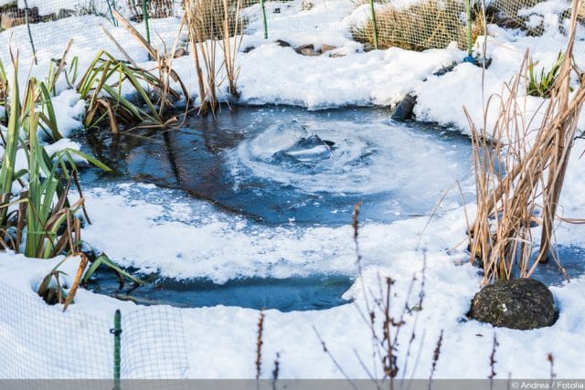 Teich eisfrei halten