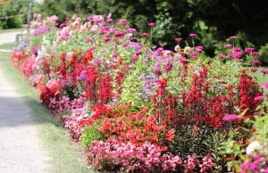 Blumenbeet anlegen