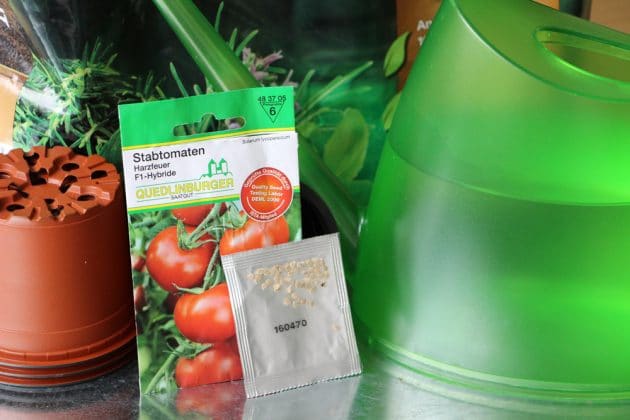 Tomatenpflanzen selber ziehen - Aussaat und Pflege - Gartendialog.de