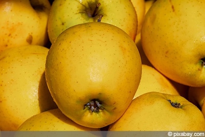 Golden Delicious alte Obstsorten