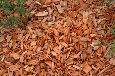 rindenmulch