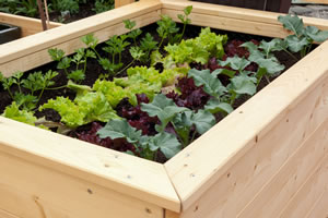 Hochbeet aus Holz Hochbeet aus Holz