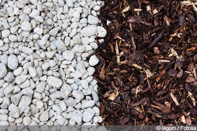 Mulch im Garten