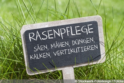 Rasen kalken