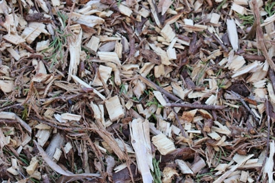 Rindenmulch