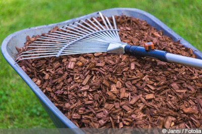 Rindenmulch, Rindenmulch-Sorten