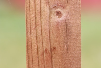 Holz