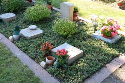 Grabbepflanzung Friedhof