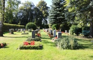 Grabbepflanzung Friedhof