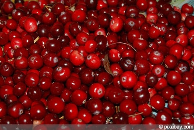 Preiselbeeren Obst Gemüse Unterschied