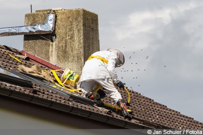 Bienennest entfernen