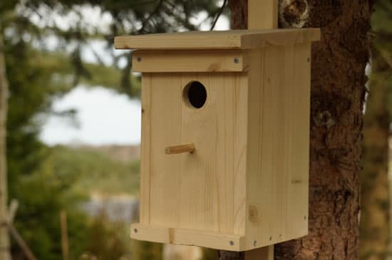 Nistkasten aus Holz selbst gebaut Nistkasten aus Holz selbst gebaut