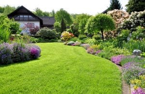 moderne Gartengestaltung