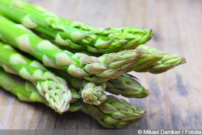 Asparagus officinalis