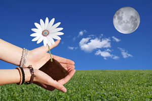 Gärtnern mit dem Mond Gärtnern mit dem Mond