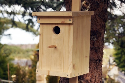 Naturgarten Vogelhaus