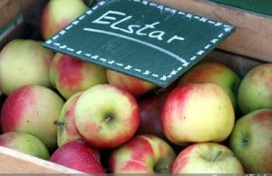 Elstar Apfel