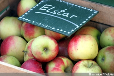 Elstar Apfel