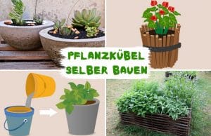 Pflanzkübel selber bauen