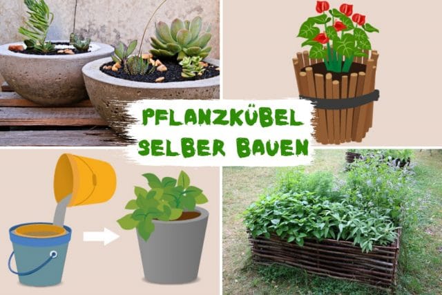 Pflanzkübel selber bauen