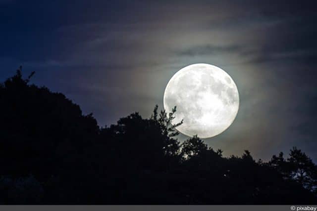 Vollmondkalender Fur 2021 Wann Ist Vollmond Gartendialog De