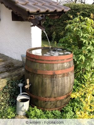 Wasserfass im Garten