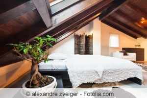 Pflanzen im Schlafzimmer - Tipps für die richtigen Zimmerpflanzen ... Pflanzen im Schlafzimmer - Tipps für die richtigen Zimmerpflanzen ...