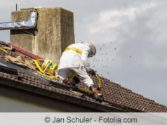 Hummeln Vertreiben Hummelnest Sanft Entfernen Gartendialog De