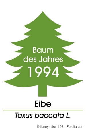 Baum des Jahres 1994