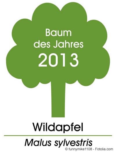 Baum des Jahres 2013 Holzapfel