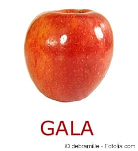 Gala-Apfel
