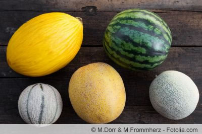 Melonensorten Melonensorten