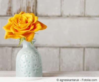 Gelbe Rose in der Vase