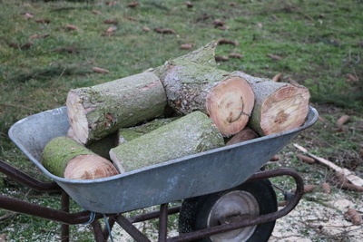 Holz zum Abtransport bereit