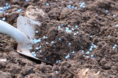 Blaukorn Stickstoffdünger Schaufel