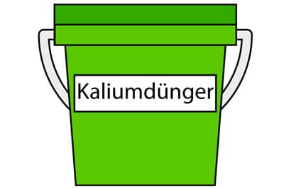 Kaliumdünger im Eimer