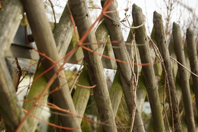 Gartenzaun Holzzaun Jägerzaun