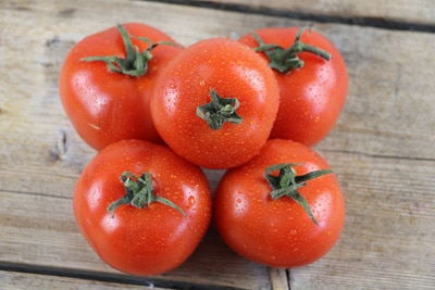 Tomaten im Winter