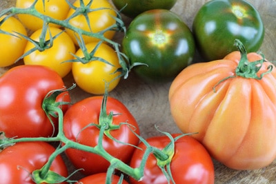 verschiedene Tomatensorten Gemüsebeet anlegen