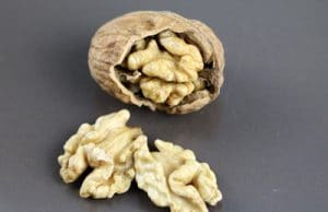 Walnuss - Juglans regia