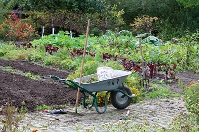 Nutzgarten anlegen