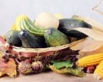 thumb herbst ernte 0523 thumb herbst ernte 0523