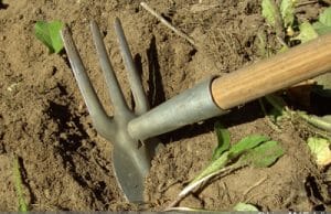 verdichteten Boden auflockern